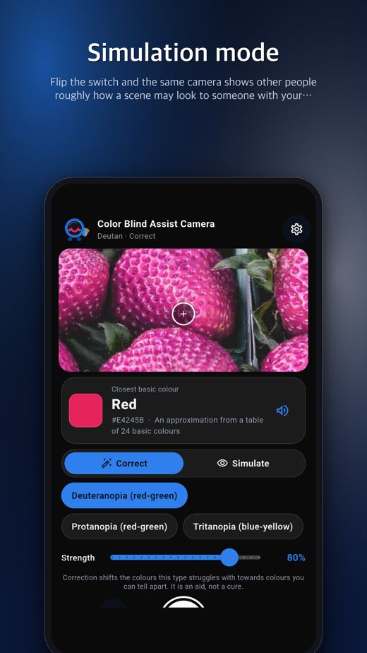 Color Blind Assist Camera screenshot 2