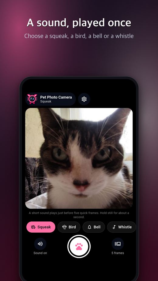 Pet Photo Camera screenshot 1