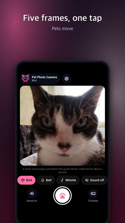Pet Photo Camera screenshot 2